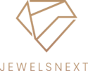 jewelsnext logo